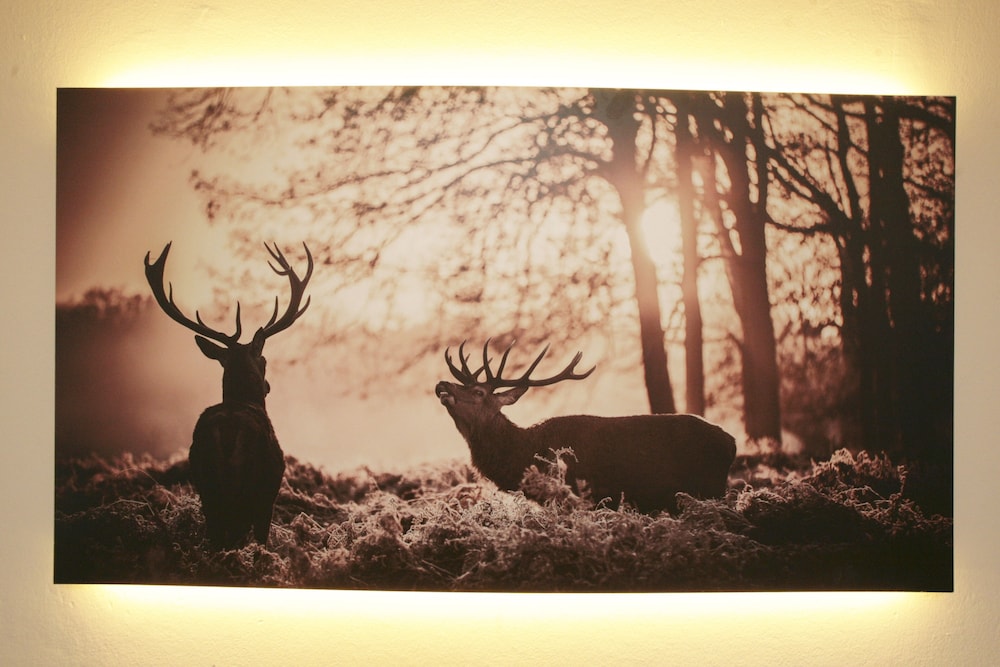 lake and cityhotel edelweiss self check in