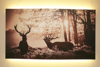 lake and cityhotel edelweiss self check in