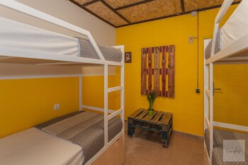 loft hostal hostel