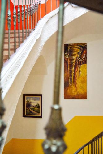 loft hostal hostel