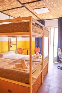 loft hostal hostel