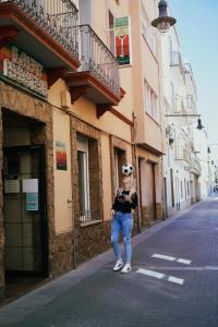 loft hostal hostel