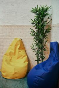 loft hostal hostel