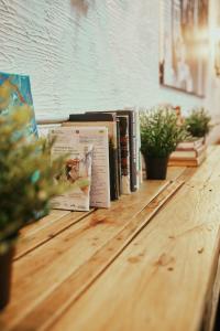 loft hostal hostel