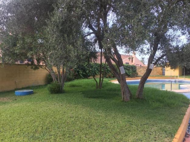 valencina de la concepcion