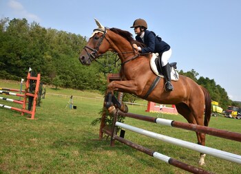 residenza depoca il biribino