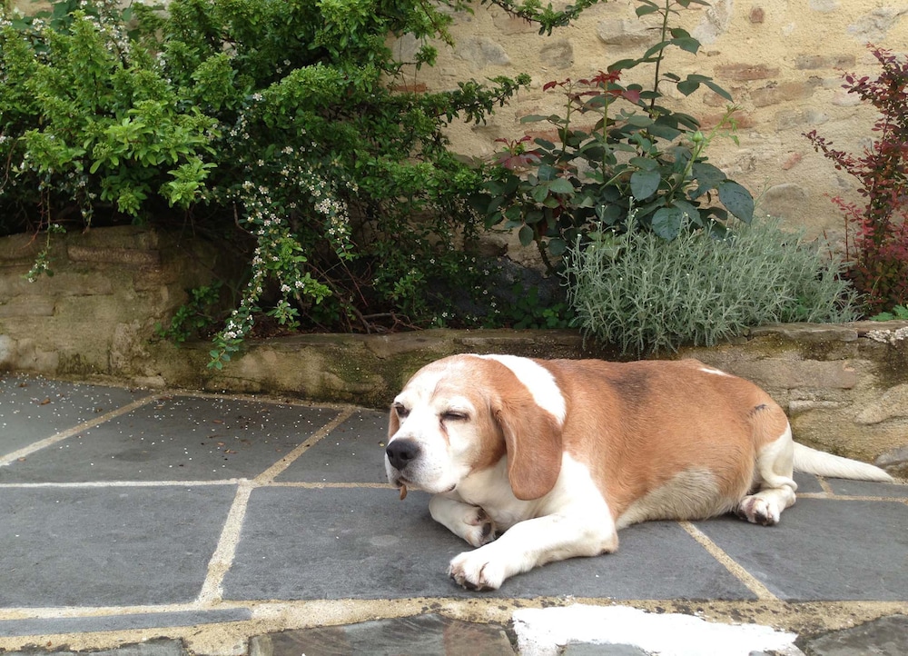 residenza depoca il biribino