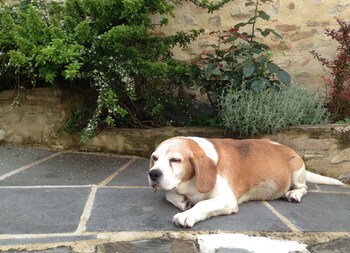 residenza depoca il biribino