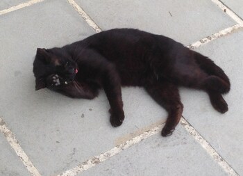 residenza depoca il biribino