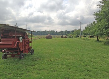 residenza depoca il biribino