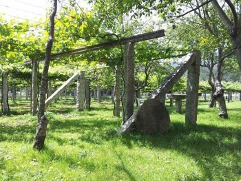 vilaboa