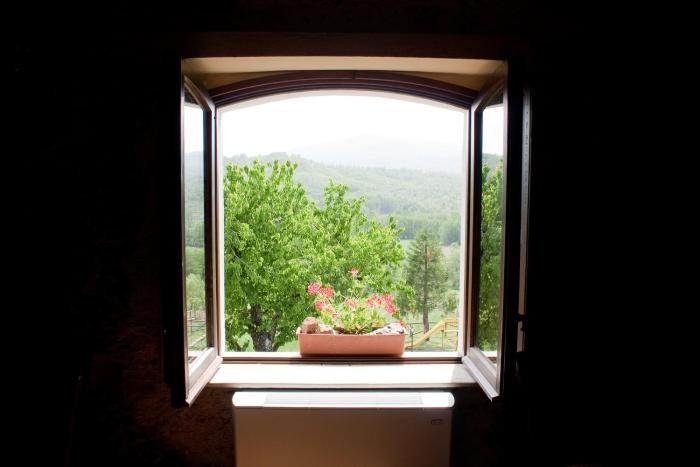 la rosa nel bicchiere