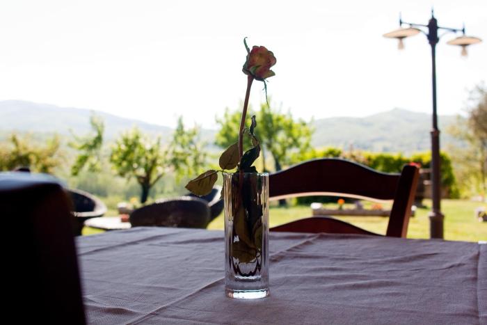 la rosa nel bicchiere