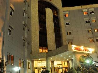 chelsea hotel central area