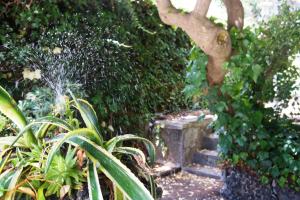 rosso vulcano bed and breakfast