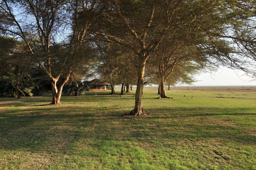 ol tukai lodge amboseli