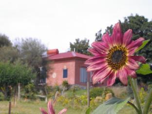 City-Image