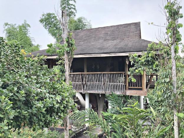 tree house at sitio de amor leisure farm
