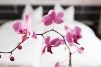 congress apartments by hotel du commerce