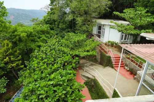 copperhill luxury homestay