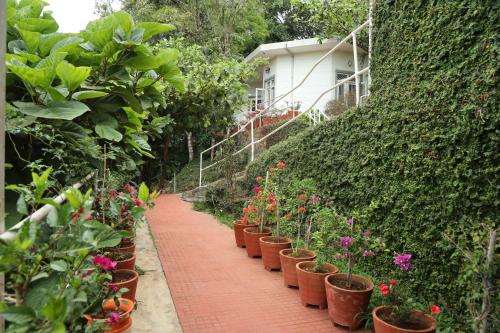 copperhill luxury homestay
