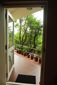 copperhill luxury homestay