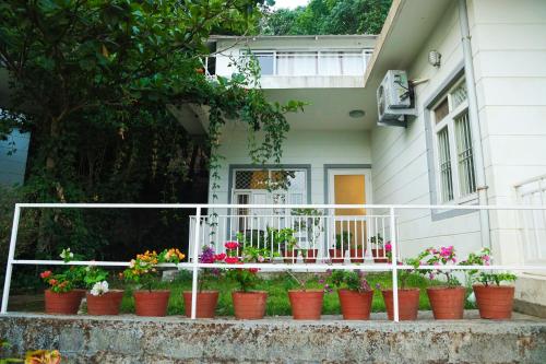 copperhill luxury homestay