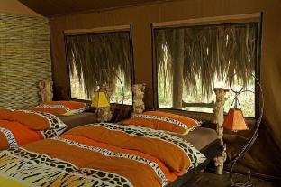 crater forest tented camp