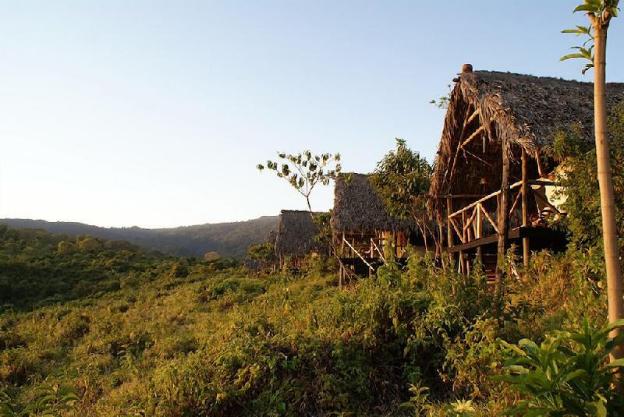 crater forest tented camp