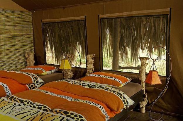 crater forest tented camp