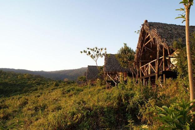 crater forest tented camp