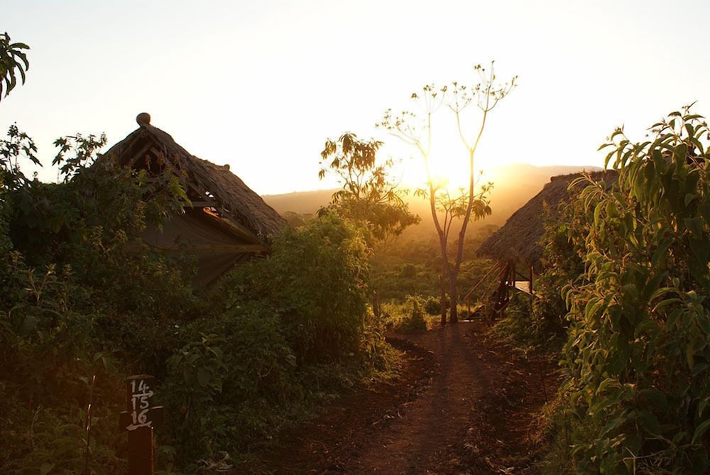crater forest tented camp