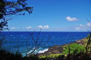 riviere des anguilles