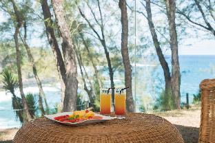 riviere des anguilles