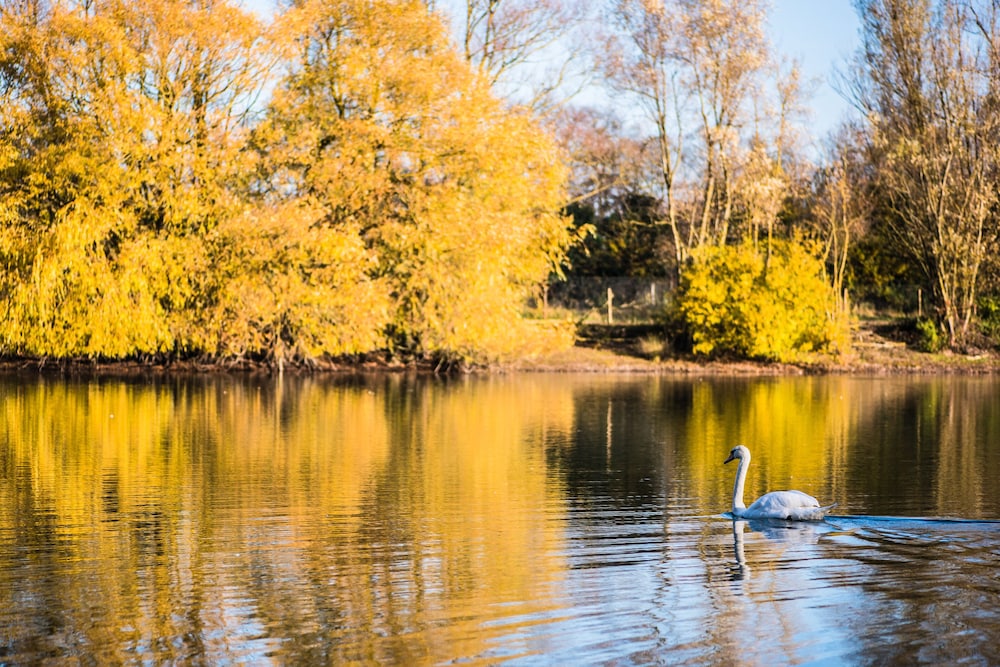 holiday inn cambridge by ihg