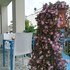 bandb camere borgo
