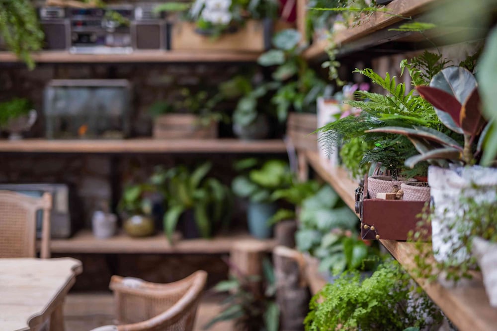 3 cottages of deer inn