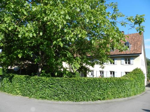 gebenstorf
