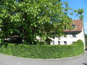 gebenstorf