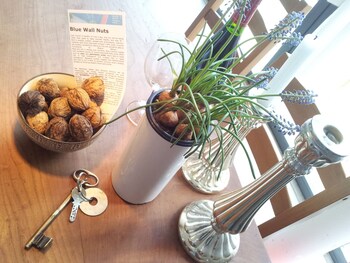 Blue Wall Bnb - Business Apartments,Brugg>>Baden,0 star