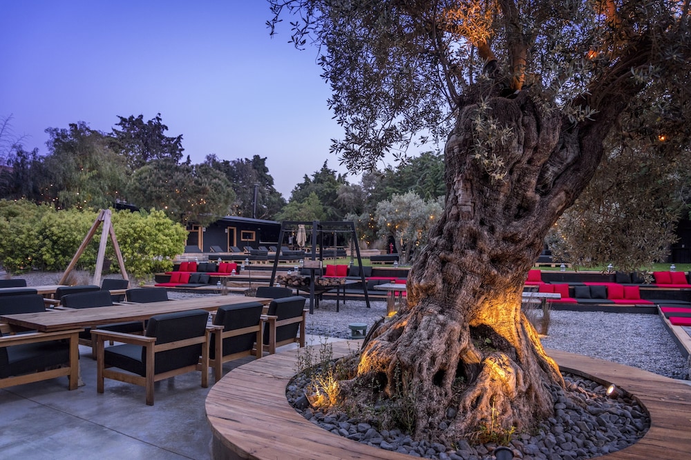 the stay alacati warehouse adults only