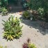 pukyo bed and breakfast