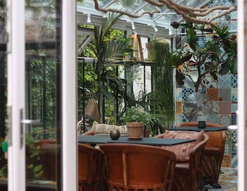 carlton 66 guldsmeden