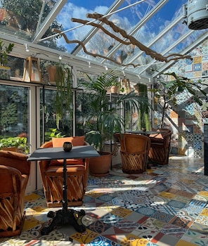 carlton 66 guldsmeden