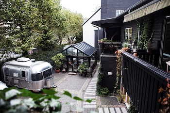 carlton 66 guldsmeden