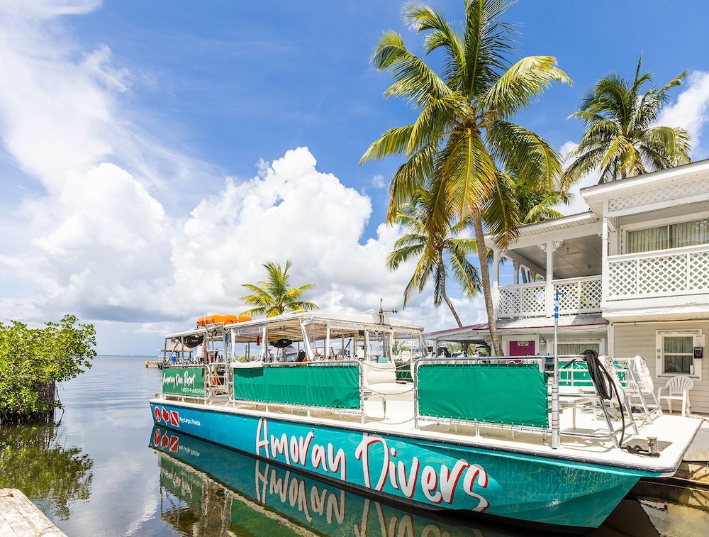 amoray dive resort