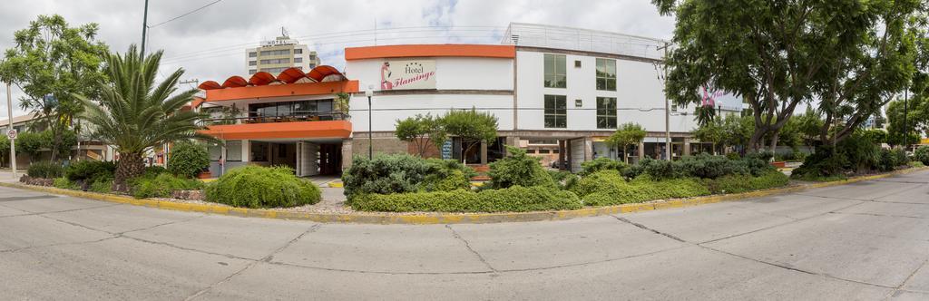 hotel flamingo irapuato