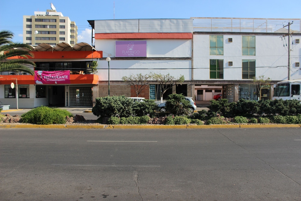hotel flamingo irapuato