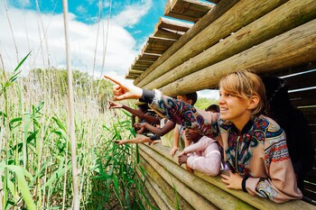 africamps at kambati