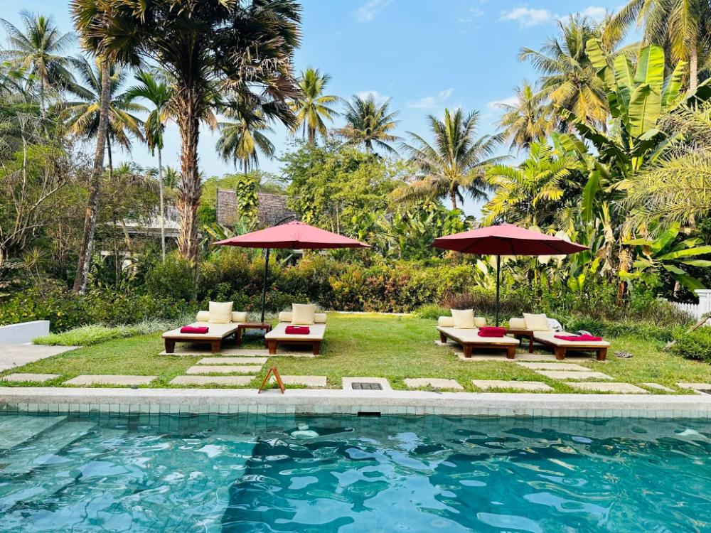 parasol blanc luang prabang